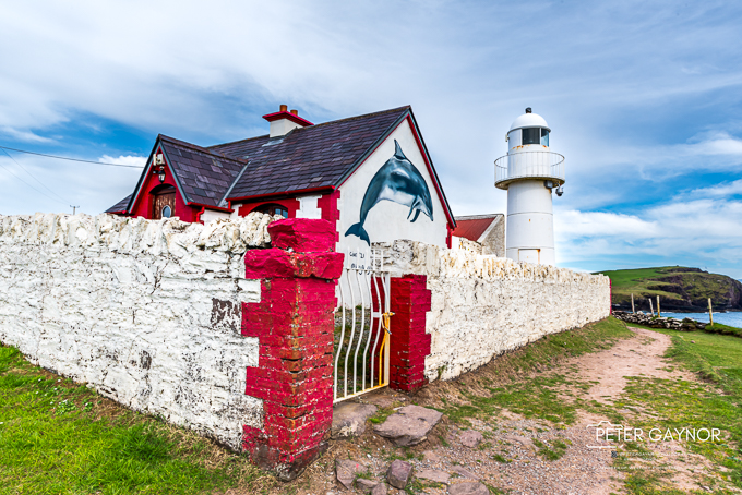 Dingle Light House -Fungi Mural -DSC_9840